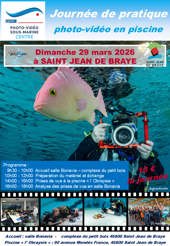 journée de pratique en piscine